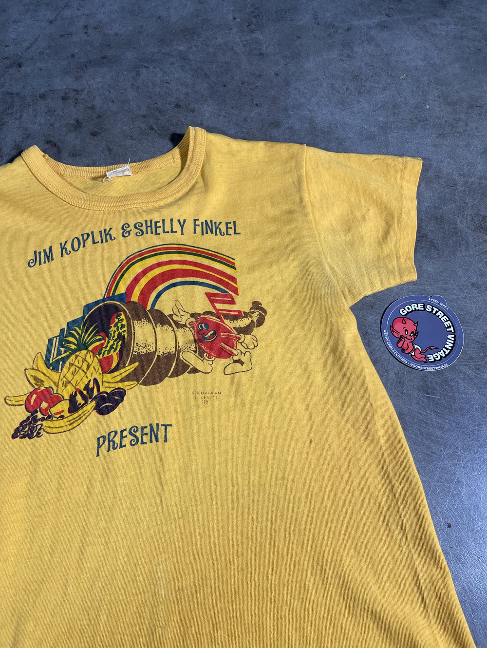 Vintage 70s Jim Koplik & Shelly Finkel Beach Boys Tee 16x22